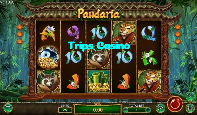 available types of Trips Casino bet including pre-match live express and system bets